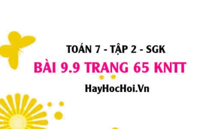 Bài 9.9 trang 65 Toán 7 Tập 2 Kết nối tri thức